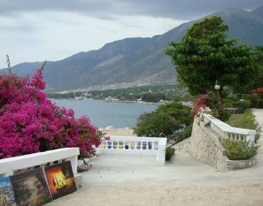 DSC05649_opt