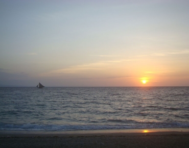 DSC05838_opt