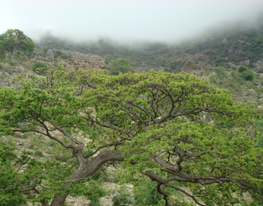DSC06027_opt