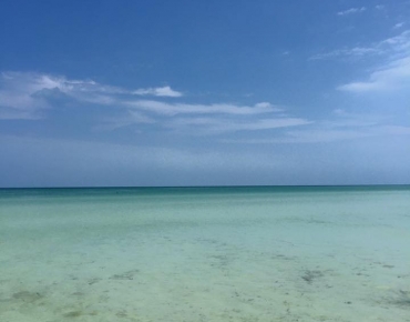 18425413_10210973915157840_4122511087257368060_n (1)