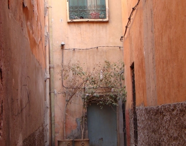 DSC07991_opt