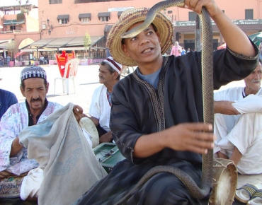 DSC08063_opt