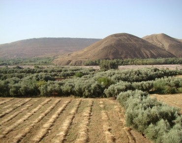 DSC08157_opt