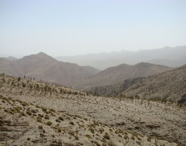 DSC08208_opt