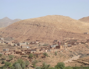 DSC08226_opt