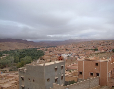 DSC08401_opt