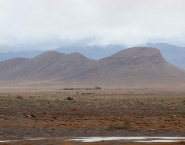 DSC08509_opt