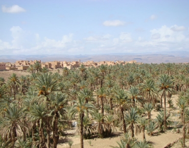 DSC08765_opt