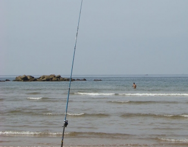 DSC09203_opt