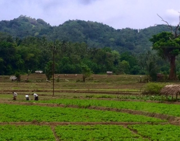 18620256_10211044973814262_4168737907395853171_n