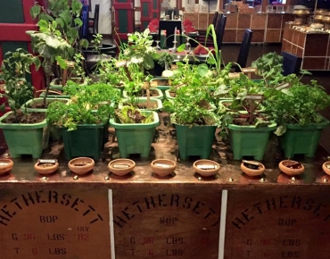 18620400_10211045226820587_2133285842145218469_n