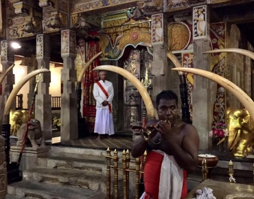 18664146_10211044976174321_2185352455403167045_n