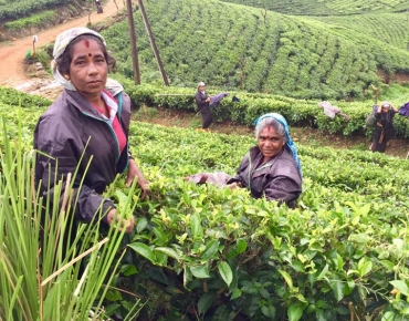 18671051_10211071982129453_6535293829238649443_n