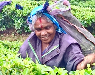 18671208_10211071983009475_6014835355597026134_n